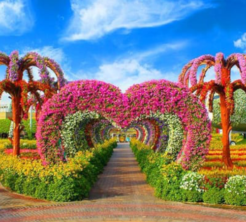 Miracle Garden & Global Village Tour with Dubai Transfer